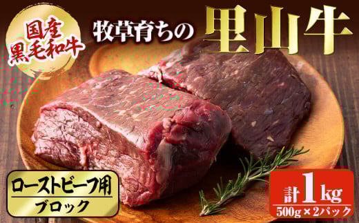 Yјa q炿̗R [Xgr[tpubNv1kg(500g×2pbN) јa a   Y [Xgr[t ubN Ԑg c5-027uzus35000