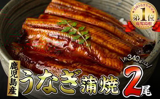 くすだ屋の極上うなぎ 2尾(170g×2)<計340g以上> a6-044鹿児島県志布志市16000魚介・海産物うなぎ