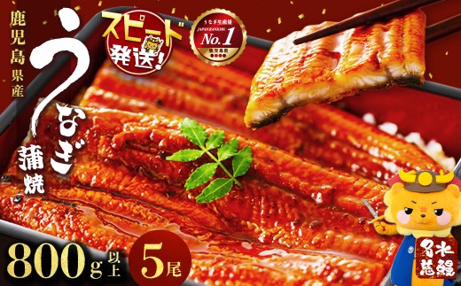 【志布志市制20周年記念】【数量限定】国産うなぎ蒲焼名水慈鰻5尾(合計800g以上) うなぎ 鰻 ウナギ 5尾 国産 蒲焼 かばやき 冷凍 真空 真空パック 無頭 うな重 ひつまぶし タレ 山椒 b98-001