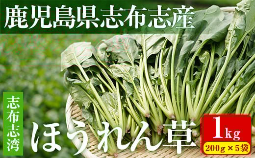 【数量限定】志布志湾ほうれん草(200g×5袋 合計1kg) サラダ おひたし お味噌汁 スムージー ほうれん草 ジュース ほうれんそう a1-032鹿児島県志布志市11000野菜・きのこその他 野菜