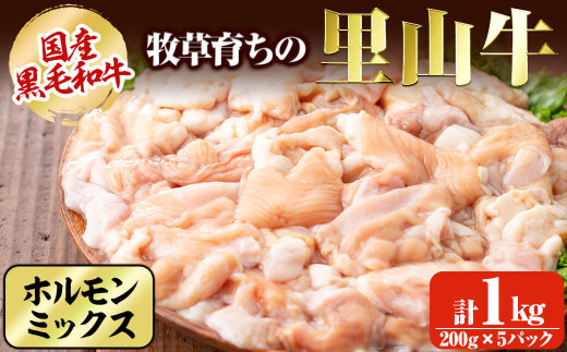 国産黒毛和牛 牧草育ちの里山牛 ホルモンミックス 計1kg 黒毛和牛 和牛 肉 牛肉 国産 小腸 大腸 アカセン もつ もつ鍋 焼肉 小分け a9-023鹿児島県志布志市19000肉牛肉