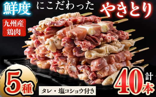 鮮度にこだわった国産やきとりバラエティセットスペシャル計40本(5種×各8本) a3-196鹿児島県志布志市13000肉鶏肉