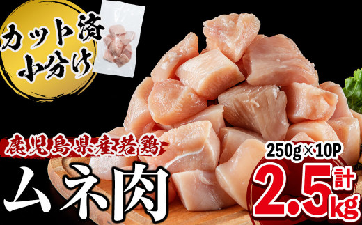 Y{lؐg250g×10P v2.5kg a1-137uzus11000{
