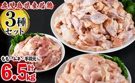 Y{3큃EނˁEHZbg v6.5kg a7-023uzus17000{