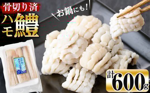 お鍋・はもしゃぶにも!志布志湾鱧(骨切り済み) 計600g a5-296鹿児島県志布志市15000魚介・海産物うなぎ