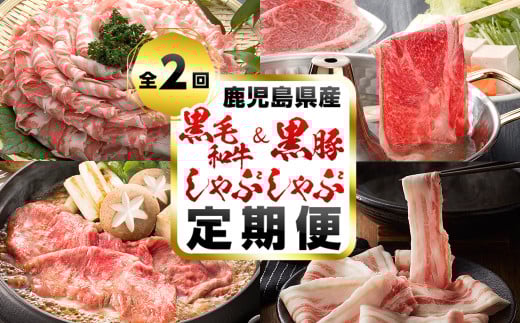 【定期便・全2回】A5等級の鹿児島県産黒毛和牛と黒豚のしゃぶしゃぶ定期便 t0033-003鹿児島県志布志市33000肉牛肉