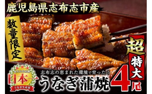 【数量限定】うなぎの大楠<超特大>4尾セット計760g以上(190g×4) c3-022鹿児島県志布志市33000魚介・海産物うなぎ