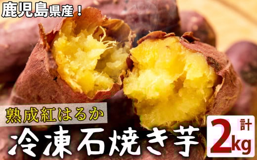 a2-097 ng͂邩̐ΏĂ(v2kg)uzus12000؁ÊႪEC