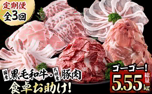 【定期便・全3回】国産黒毛和牛と九州産豚肉の食卓お助けゴーゴー定期便 計5.55kg t0037-002鹿児島県志布志市37000肉牛肉