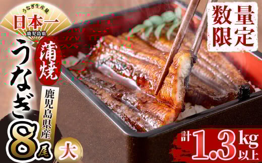 鹿児島県産 伊崎田のうなぎ蒲焼 大<170g以上>× 8尾(計1.3kg以上) e4-005鹿児島県志布志市54000魚介・海産物うなぎ