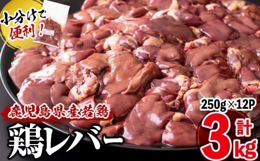 ŕ֗IY{o[ v3kg(250g×12P) a0-358uzus10000{