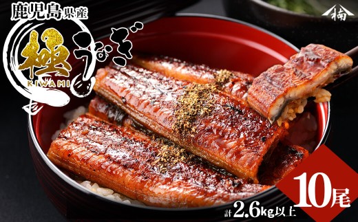 楠田の極うなぎ 蒲焼き 260g以上×10尾(計2.6kg以上) wa24-003鹿児島県志布志市124000魚介・海産物うなぎ
