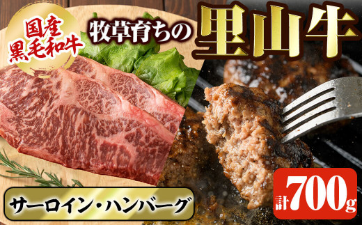 国産黒毛和牛 牧草育ちの里山牛 サーロインステーキ&手作りハンバーグセット 計700g 黒毛和牛 和牛 肉 牛肉 国産 ハンバーグ サーロイン ステーキ b1-016鹿児島県志布志市21000肉牛肉