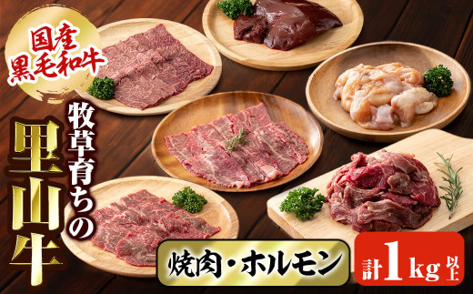 国産黒毛和牛 牧草育ちの里山牛 焼肉・ホルモンセット 計1kg以上 黒毛和牛 和牛 肉 牛肉 国産 ロース カルビ 赤身 切り落とし ホルモン 焼肉 BBQ b8-031鹿児島県志布志市28000肉牛肉