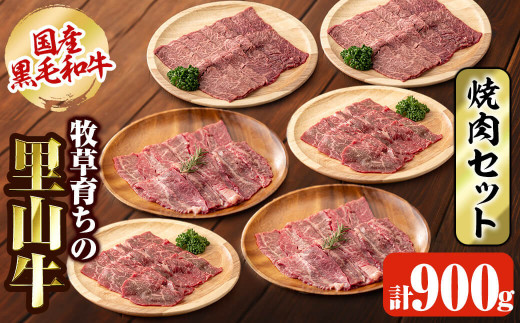 国産黒毛和牛 牧草育ちの里山牛 焼肉セット 計900g 黒毛和牛 和牛 肉 牛肉 国産 カタロース カルビ 赤身 焼肉 BBQ b8-032鹿児島県志布志市28000肉牛肉
