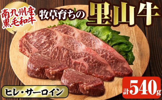 牧草育ちの里山牛 ステーキ食べ比べセット(ヒレ・サーロイン) 計540g b8-019鹿児島県志布志市28000肉牛肉