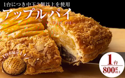 アップルパイ5号(直径17.5cm 800g以上) a4-059鹿児島県志布志市14000菓子・スイーツ焼き菓子