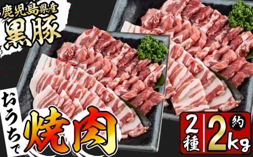鹿児島県産黒豚焼肉セット(計2kg・黒豚肩ロース焼肉500g×2P 黒豚バラ焼肉500g×2P) b1-008鹿児島県志布志市21000肉豚肉