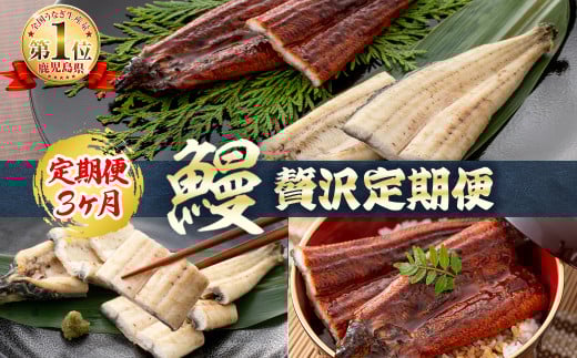 【定期便全3回】蒲焼きと白焼きが楽しめる贅沢定期便! t0066-001鹿児島県志布志市66000魚介・海産物うなぎ