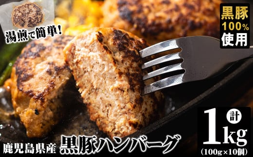 鹿児島県黒豚 100%使用 黒豚ハンバーグ(計1kg・100g×10個) a1-092鹿児島県志布志市11000肉加工肉(ハム・ソーセージ等)