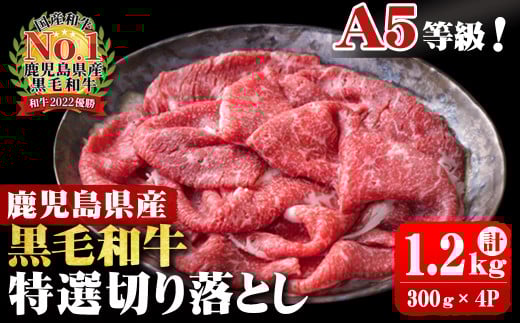 A5等級!鹿児島県産 黒毛和牛特選切り落とし 計1,200g (300g×4P) b0-163-D鹿児島県志布志市20000肉牛肉