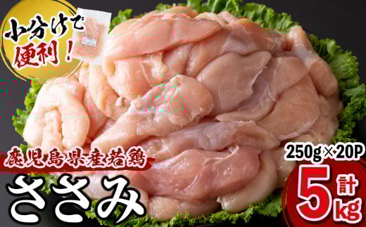 【2025年11月発送予定】小分けで便利!鹿児島県産若鶏ささみ 計5kg(250g×20P) a5-258-11鹿児島県志布志市15000肉鶏肉