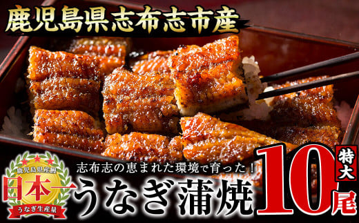 Ȃ̑큃偄10Zbgv1.7kg(170g×10) g4-017uzus74000ECYȂ