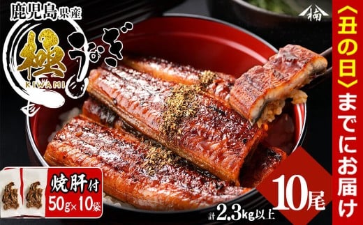 【丑の日までに配送】楠田の極うなぎ蒲焼き 230g以上×10尾(計2.3kg以上) 焼肝10袋付き wa24-004-us鹿児島県志布志市124000魚介・海産物うなぎ