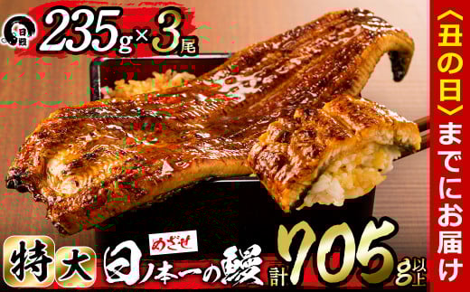 【丑の日までに配送】日ノ本一の鰻の蒲焼き<特大>3尾セット(計705g以上) c2-009-us鹿児島県志布志市32000魚介・海産物うなぎ