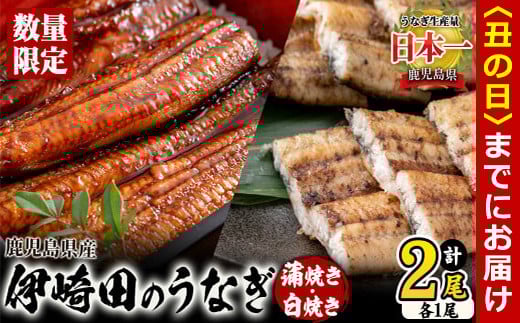 【丑の日までに配送】【数量限定】鹿児島県産 伊崎田のうなぎ蒲焼き&白焼きセット(計2尾/各1尾/計270g以上) a5-240-us鹿児島県志布志市15000魚介・海産物うなぎ
