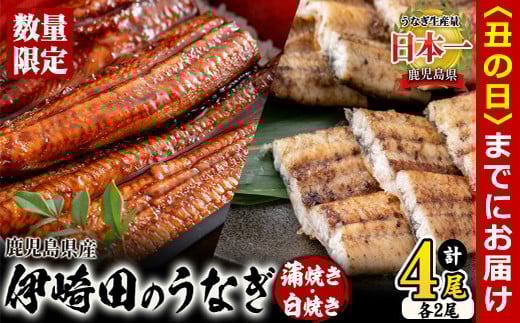 【丑の日までに配送】【数量限定】鹿児島県産 伊崎田のうなぎ蒲焼き&白焼きセット(計4尾/各2尾/計540g以上) b7-022-us鹿児島県志布志市27000魚介・海産物うなぎ
