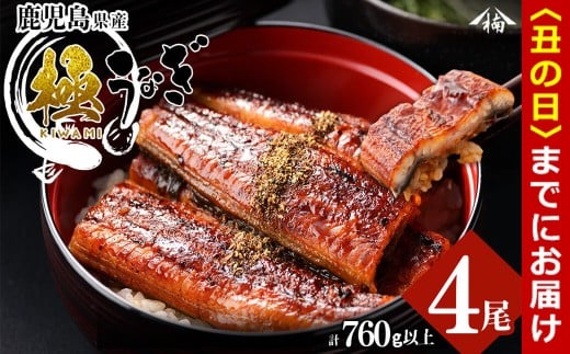 【丑の日までに配送】楠田の極うなぎ 蒲焼き 190g以上×4尾(計760g以上) c6-083-us鹿児島県志布志市36000魚介・海産物うなぎ