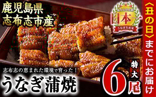 yN̓܂łɔzzȂ̑큃偄6Zbgv1kg(170g×6) d5-001-usuzus45000ECYȂ