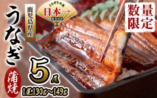 Y ɍĉȂ 130gȏい× 5(v650gȏ) b8-033uzus28000ECYȂ