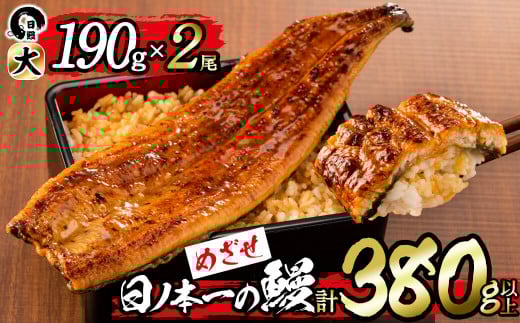 日ノ本一の鰻の蒲焼き<大>2尾(計380g以上) b1-018鹿児島県志布志市21000魚介・海産物うなぎ