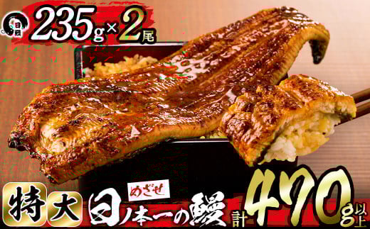 日ノ本一の鰻の蒲焼き<特大>2尾セット(計470g以上) b3-010鹿児島県志布志市23000魚介・海産物うなぎ