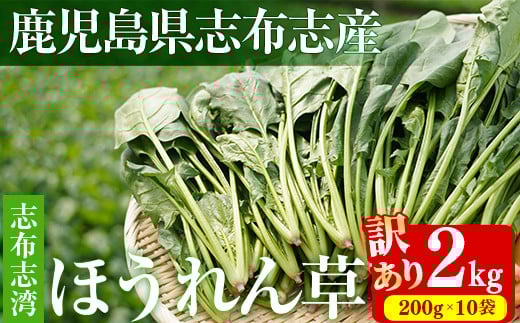 【数量限定・訳あり】志布志湾ほうれん草(計2kg 200g×10袋) サラダ おひたし お味噌汁 スムージー ほうれん草 ジュース ほうれんそう a2-081鹿児島県志布志市12000野菜・きのこその他 野菜