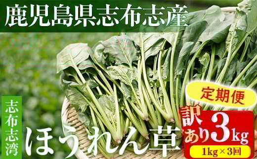 y3zyʌE󂠂zuzupق(v3kg 1kg×3) T_ Ђ X` X[W[ ق W[X ق񂻂 t0021-003uzus21000؁Ê