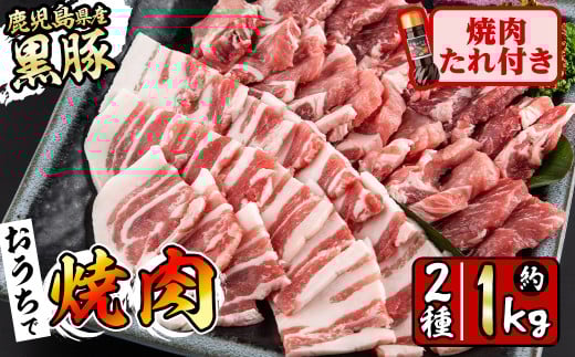 Y؏ē2큕ē̂Zbgv1kg(J^[X500gEo500gE210g) BBQ ē   ؓ [X J^[X o ؃o  lߍ킹 Y a5-302uzus15