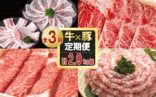 【定期便全3回】贅沢!国産黒毛和牛・豚肉定期便(3ヶ月連続・総量2.9kg以上) 黒毛和牛 国産牛 九州産 黒豚 豚 豚肉 肉 牛 牛肉 国産 しゃぶしゃぶ すき焼き 豚バラ バラ ロース 人気 A4等級 小