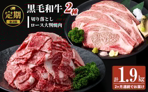 【定期便 全2回】国産 黒毛和牛2種お楽しみ定期便(計1.9kg) 国産 黒毛和牛 切り落とし 4等級 以上 九州産 ロース 大判 焼肉 和牛 牛 牛肉 焼き肉 冷凍 小分け 訳あり 定期便 頒布会 t0029-001鹿児