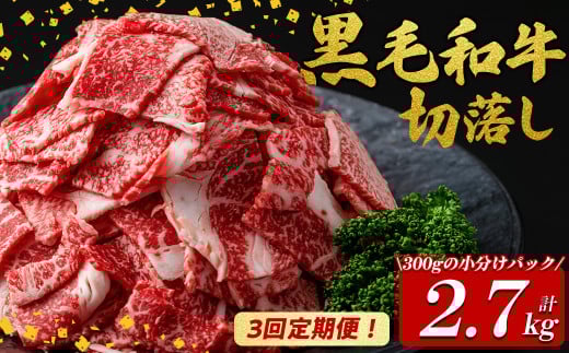 【定期便全3回】国産黒毛和牛切り落とし(計2.7kg) 牛肉 牛 切り落とし 切落し 小間切れ 小分け 真空パック 牛丼 カレー 肉じゃが 炒めもの 真空パック 黒毛和牛 定期便 t0036-007鹿児島県志布志
