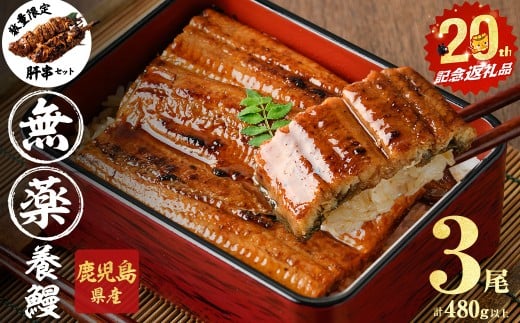 【無薬養鰻】 鹿児島産 山田のうなぎ <計480g以上>(160g以上×3尾) 肝串セット うなぎ 鰻 ウナギ 無薬 養鰻 無投薬 3尾 国産 九州産 蒲焼き かばやき 冷凍 うな重 ひつまぶし タレ 山椒 a6-062