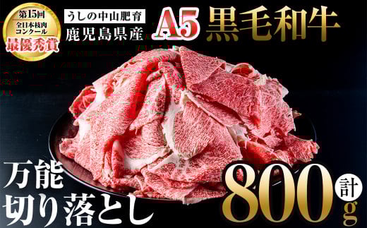 <A5等級>鹿児島県産 黒毛和牛万能切り落とし(計800g /400g×2P) 黒毛和牛 和牛 切り落とし 肉 牛肉 国産 九州産 鹿児島県産 すき焼き しゃぶしゃぶ 小分け A5 日本一 ランキング 人気 a3-210鹿児