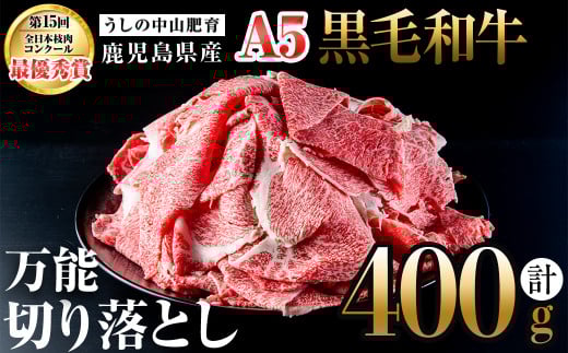 A5Y јa\؂藎Ƃ(v400g /400g×1P) јa a ؂藎Ƃ   Y BY Y Ă Ԃ  A5 { LO lC a0-360