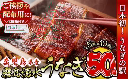 【数量限定】【化粧箱10箱】ご挨拶・配布用にも!鹿児島県産 山田水産の霧島湧水鰻<計50尾(5尾×10箱)/計8kg(1尾あたり160g)> うなぎ 鰻 ウナギ 贈答 50尾 国産 九州産 蒲焼き かばやき 冷凍 う