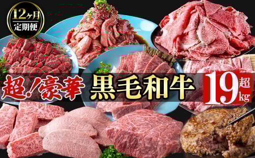 y֑S12z؁Iјa\ґցI(d19kg) Y јa a   Y BY Y ē BBQ { LO lC A4 A5 Xe[L ؂藎Ƃ n