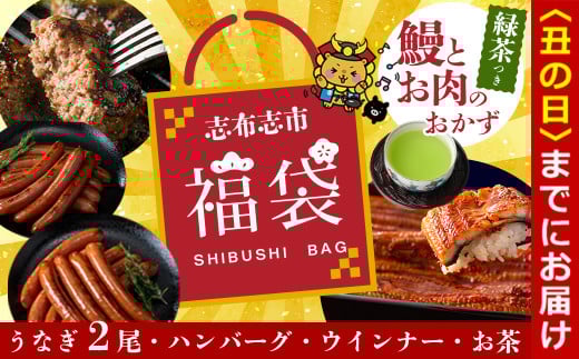 【丑の日までに配送】志布志市福袋!!鰻とお肉のおかず(名水慈鰻2尾&里山牛ハンバーグ4個&黒豚MEGUMIウインナー2P&お茶 総計約1kg) うなぎ 鰻 蒲焼き ハンバーグ ウインナー 黒豚 b8-036-us