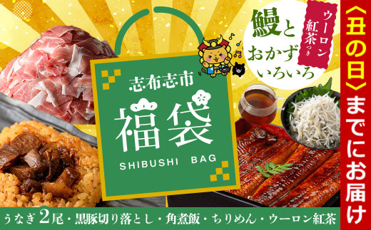 【丑の日までに配送】志布志市福袋!鰻とおかずいろいろセット(霧島湧水鰻2尾&釜揚げちりめん&黒豚ウデ切り落とし&ウーロン紅茶&角煮飯) ウナギ 蒲焼 2尾 バラエティ お楽しみ b8-041-u