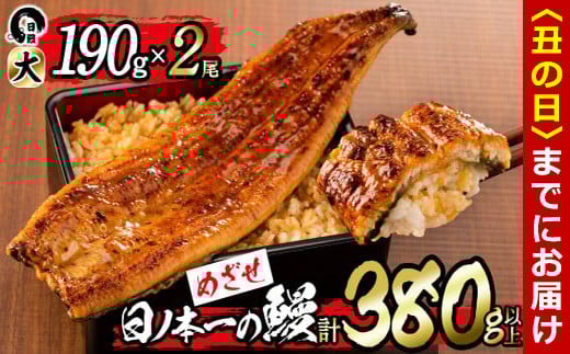 yN̓܂łɔzzm{̉V̊Ă偄2(v380gȏ) b1-018-usuzus21000ECYȂ